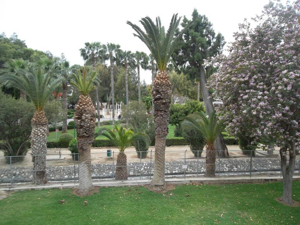 Vertical photo