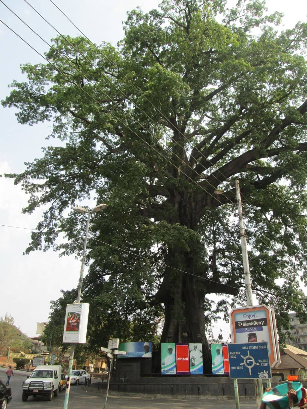 A Symbol of Resilience