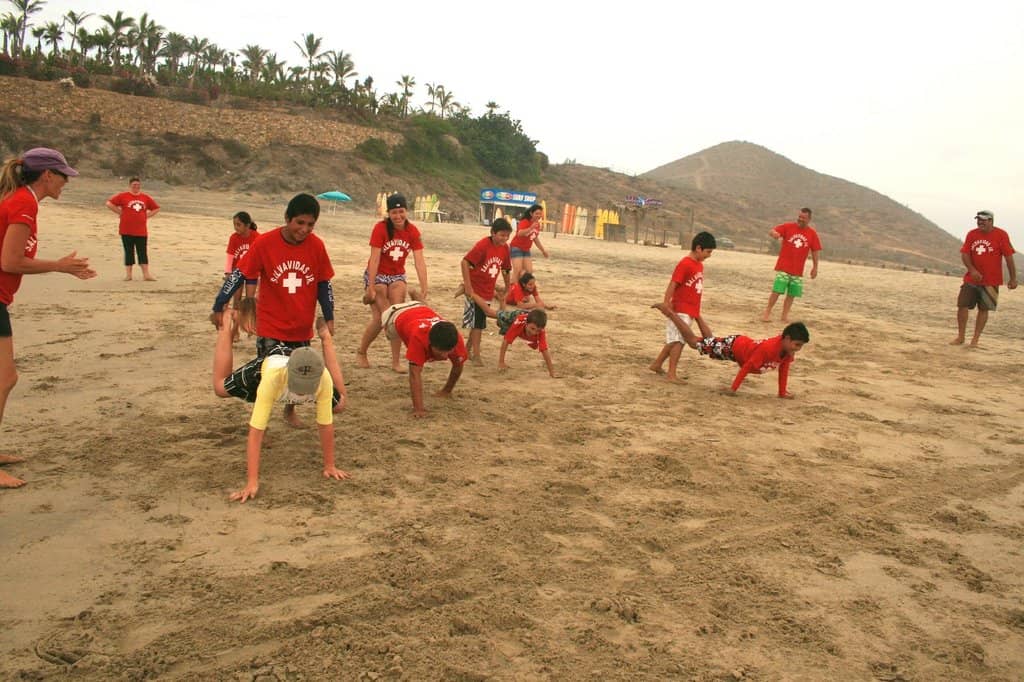 Baby Turtle Release