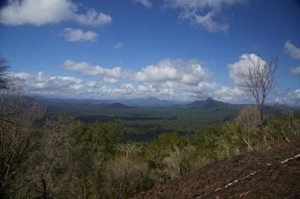 Birding Loop Trail