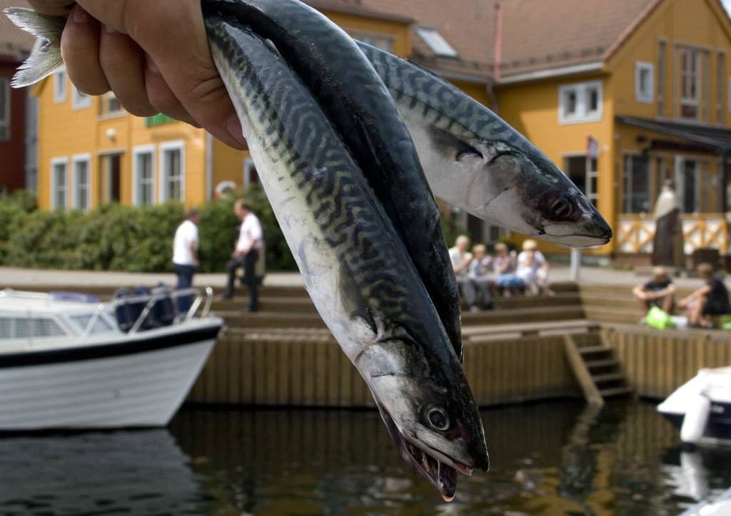 The Fish Market (Fisketorget)