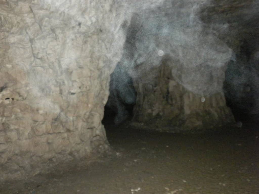 Concert & Film Location