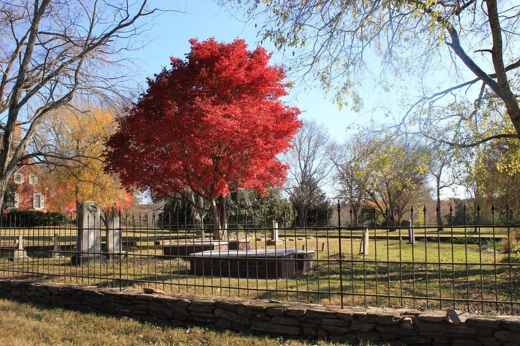 Poet's Walk Trail