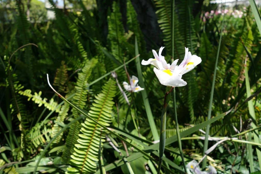Vertical photo