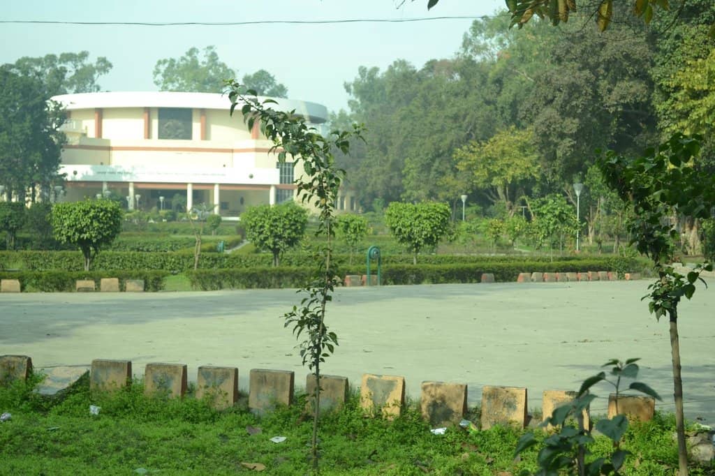 Majestic Bronze Statue