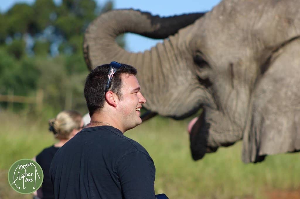 Elephant Feeding