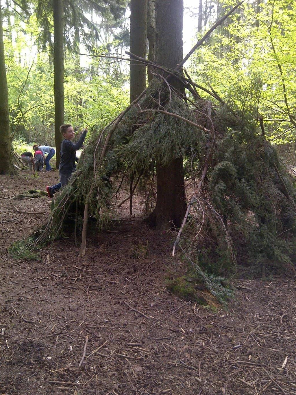 Woodland Trails