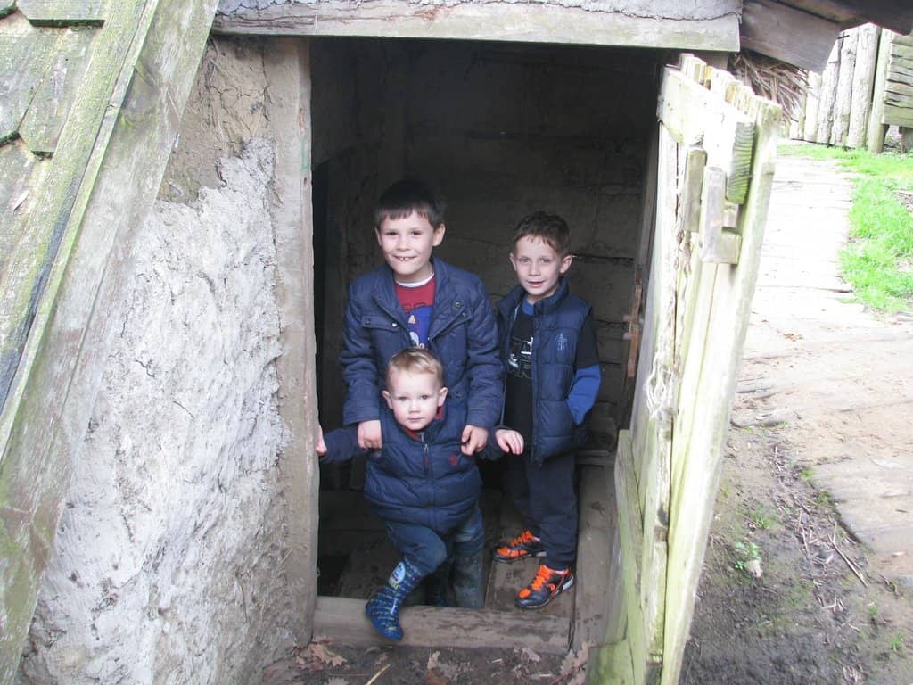 Meet the Farm Animals