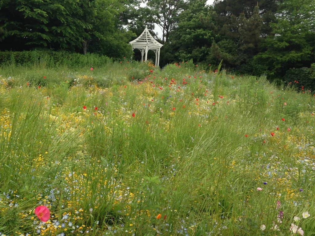 Wave Art Installation
