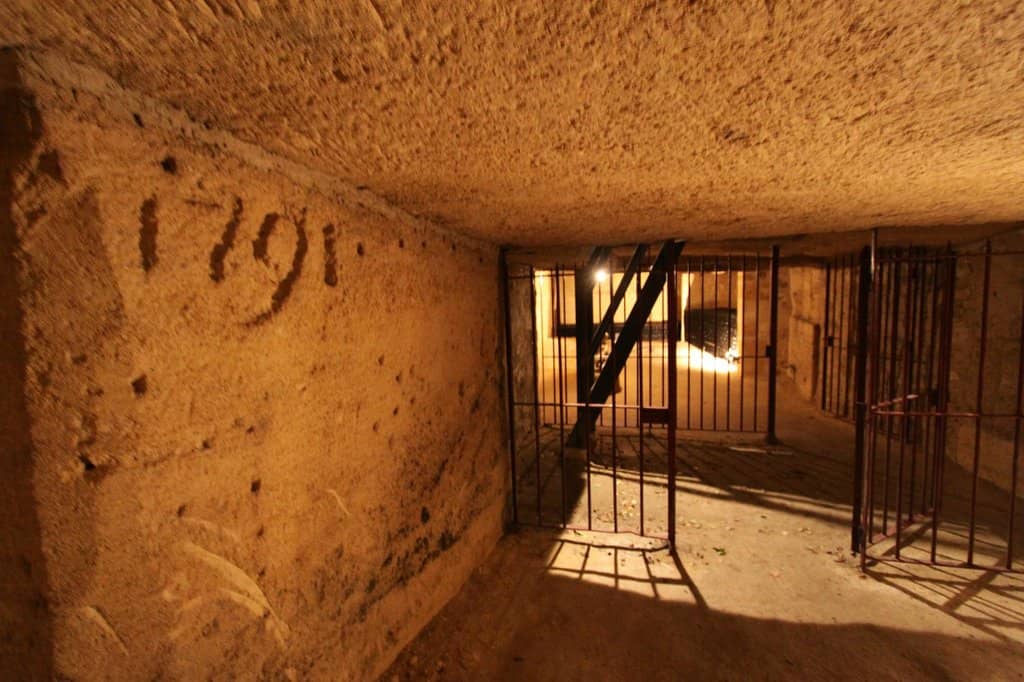 Wine Farm & Agriculture Insight