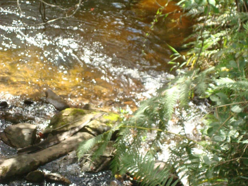 Vertical photo