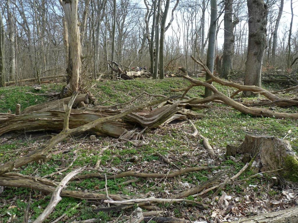 Accessible Path