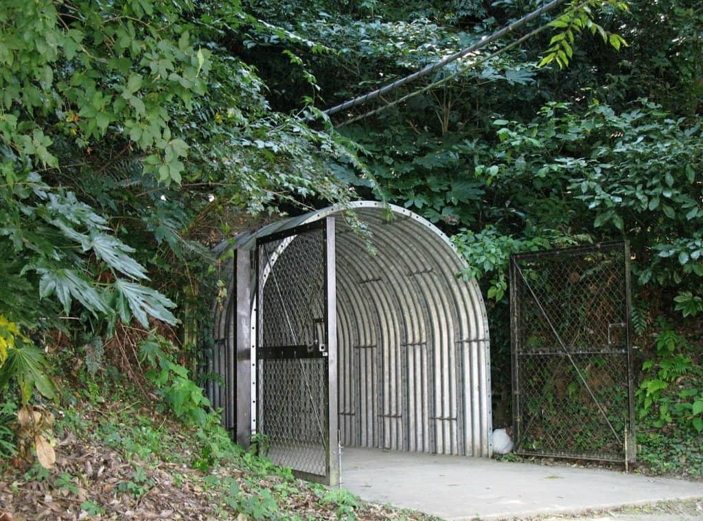 Cool Escape from the Heat