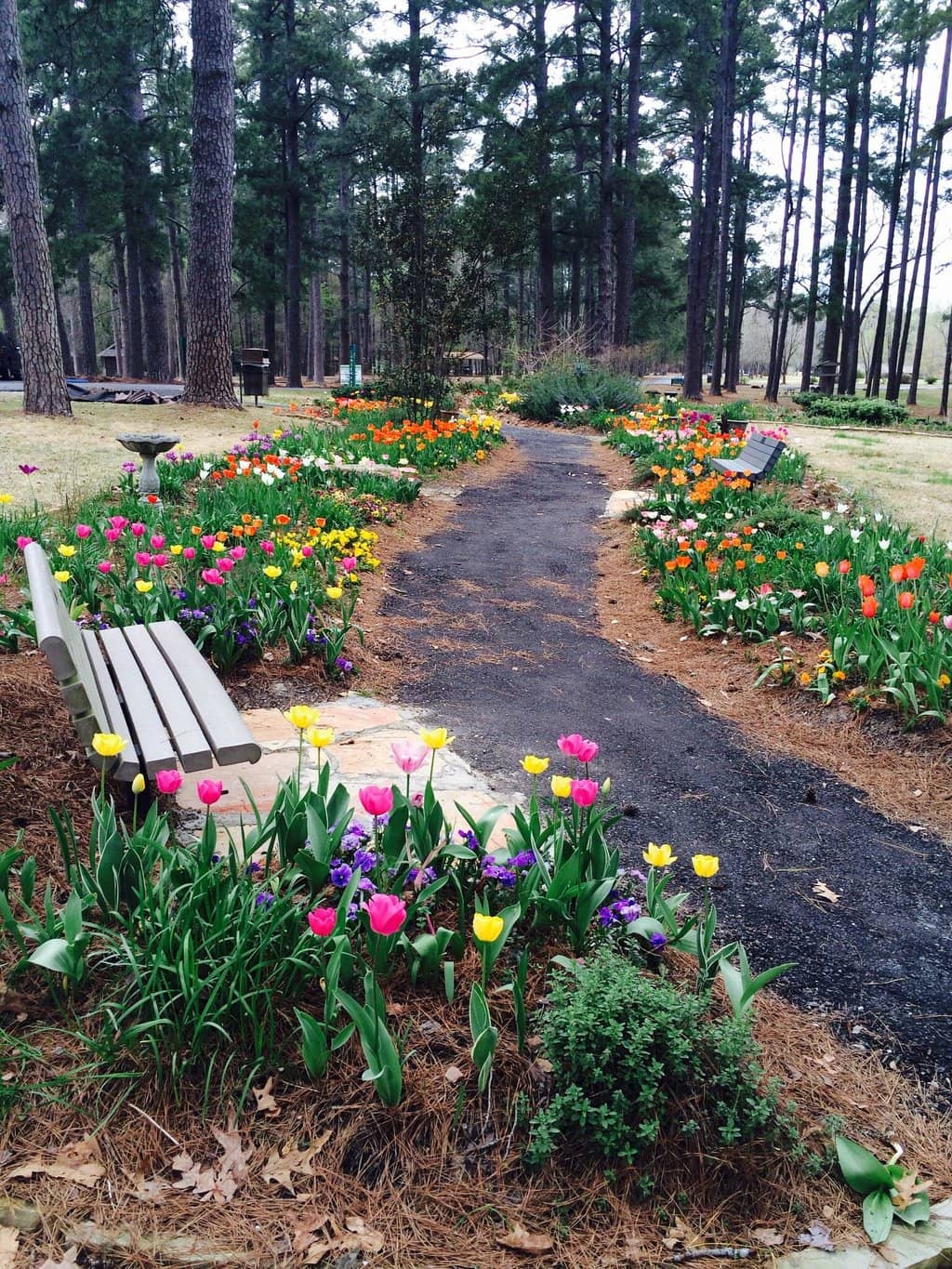 Scenic Walking Trails