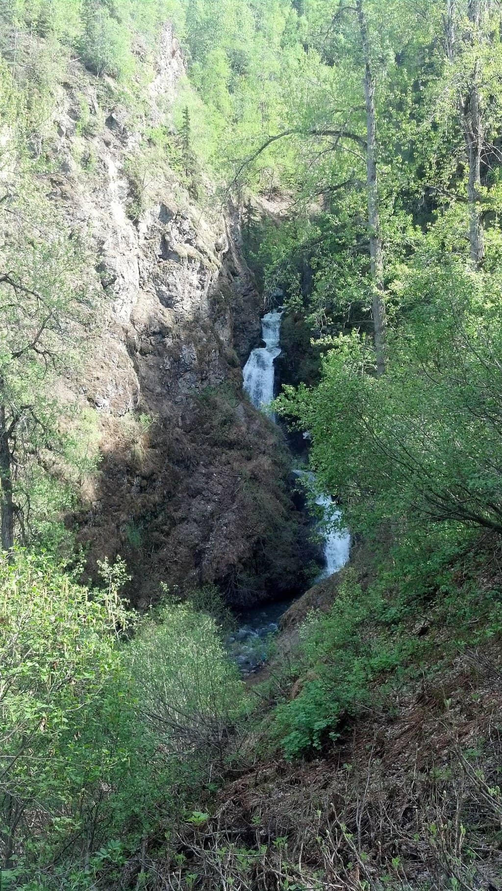 Vertical photo