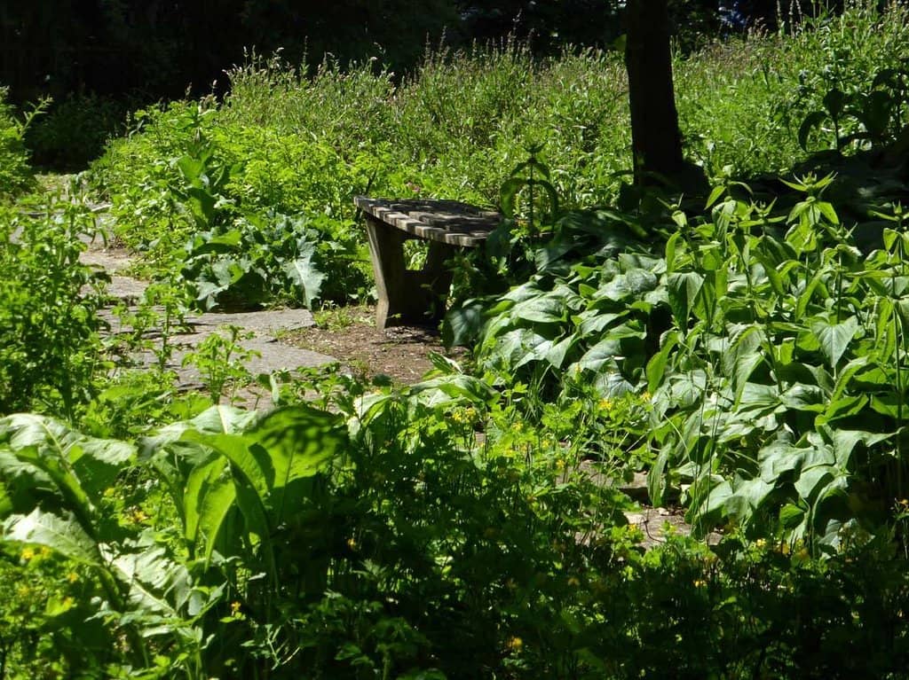 Well-Maintained Flora