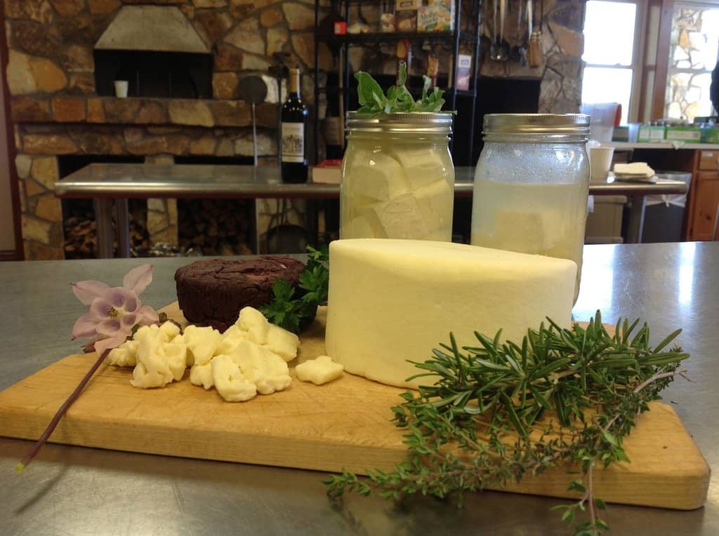 Fall Festival Celebration