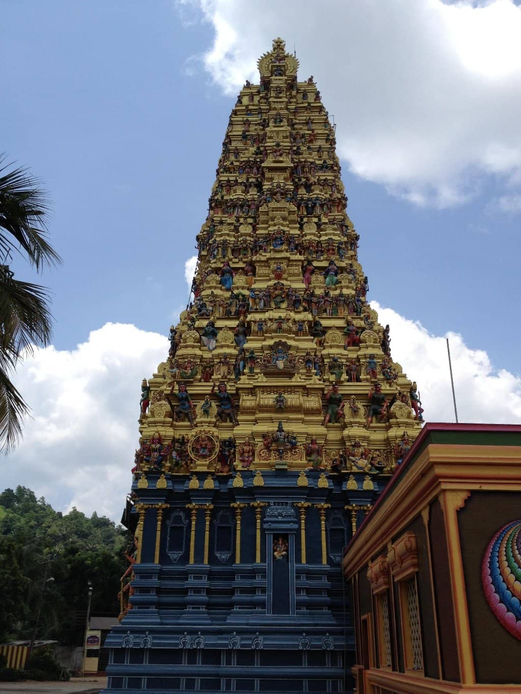 Vertical photo