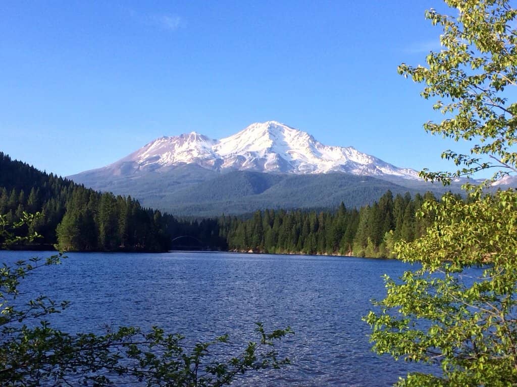 Beachfront Relaxation