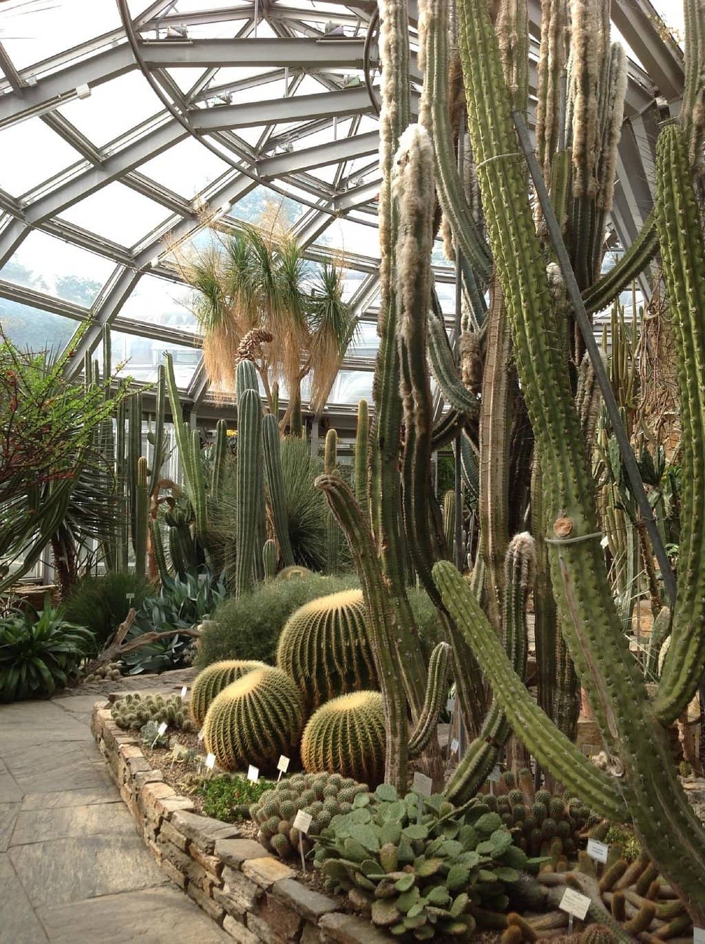 Christmas Garden Magic