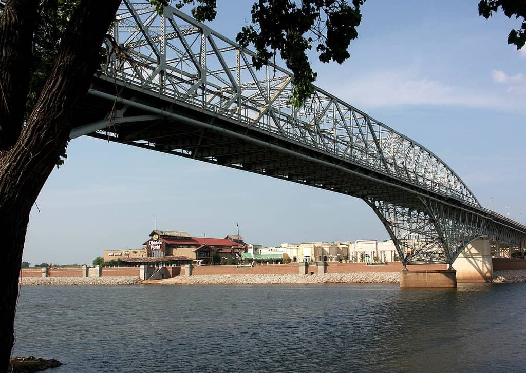 Art Studio Grand Opening