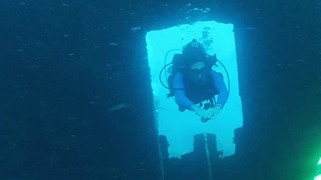 Fossil & Seashell Hunting