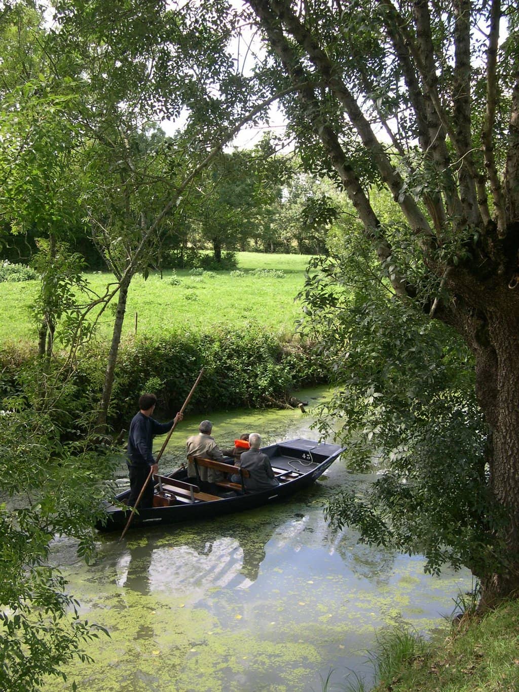 Guided Boat Tour