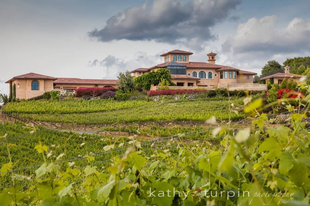 Wine Tasting Flights