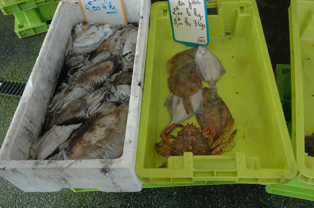 Seasonal Seafood Variety