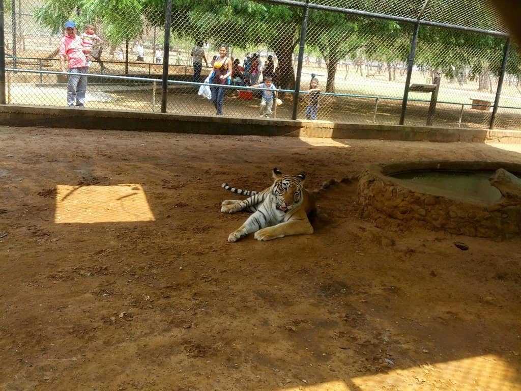 Abandoned Structures