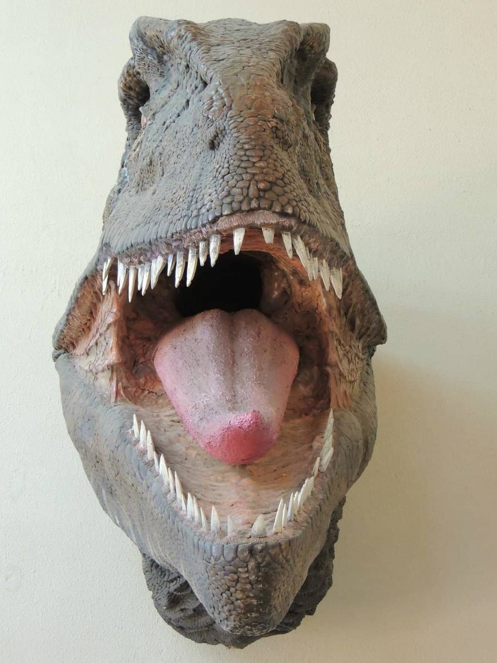 Bajadasaurus