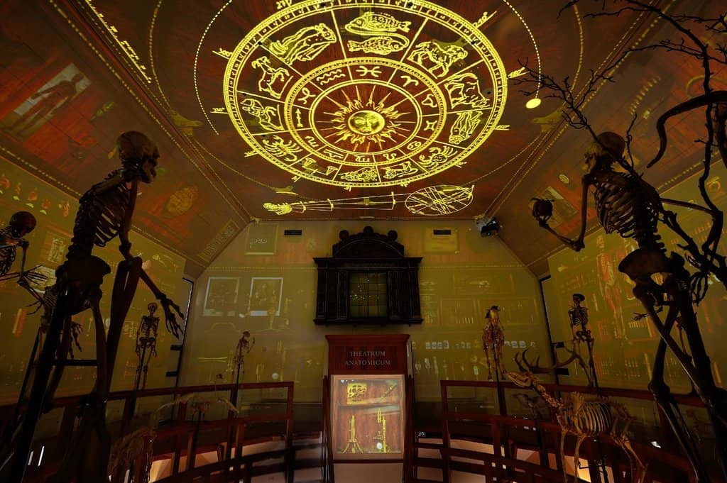 Interactive Science Exhibits