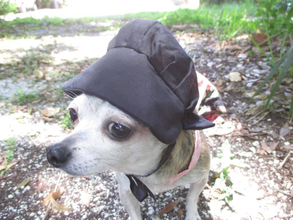 Hearty Amish Cuisine