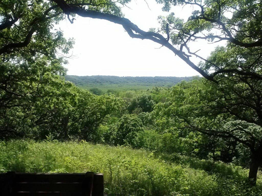 Restored Prairie Trails