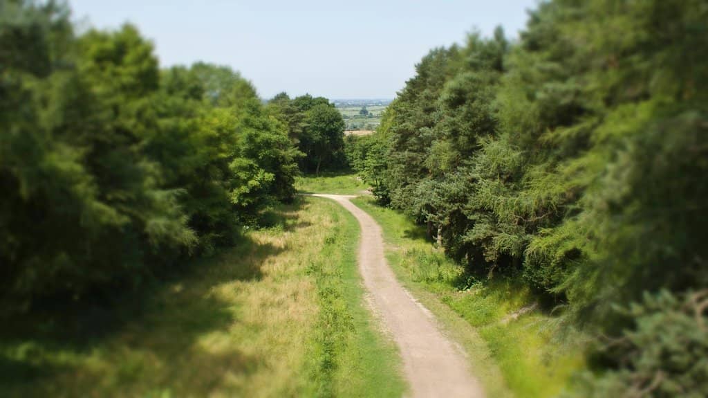 Vertical photo