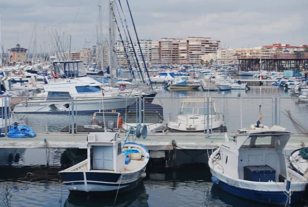 Concerts and Tributes