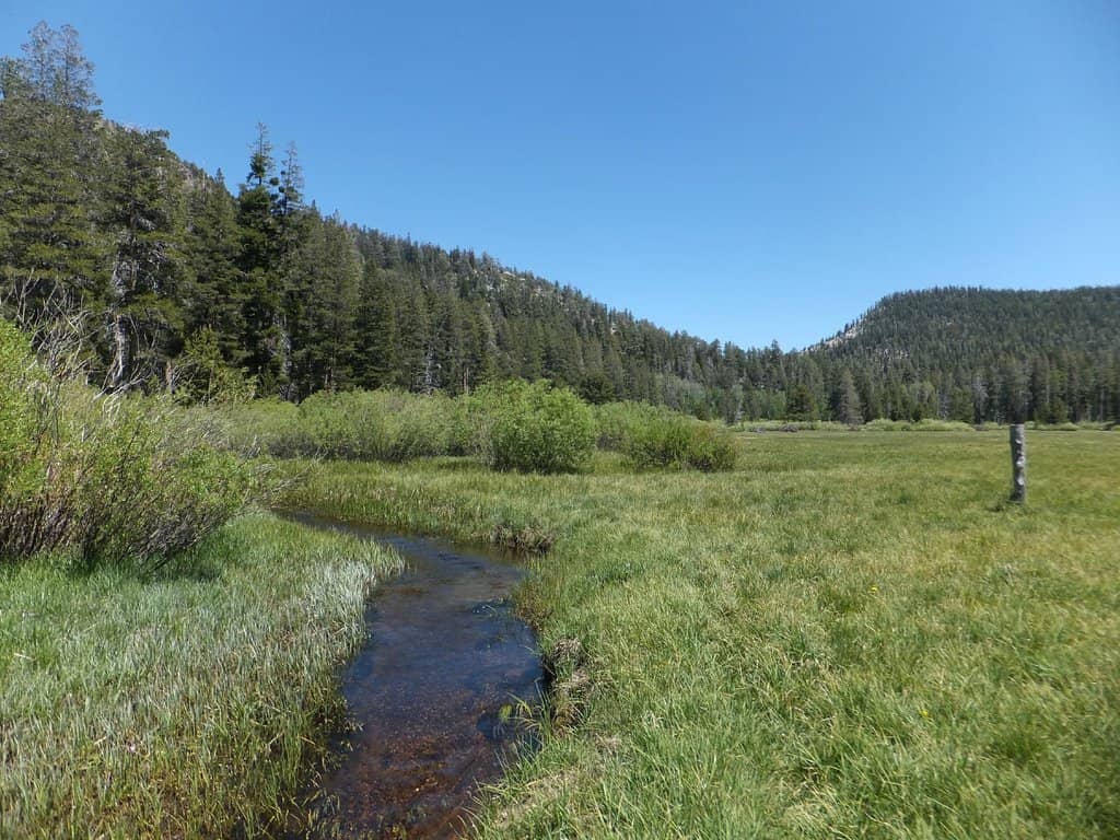 PCT Overlap Section