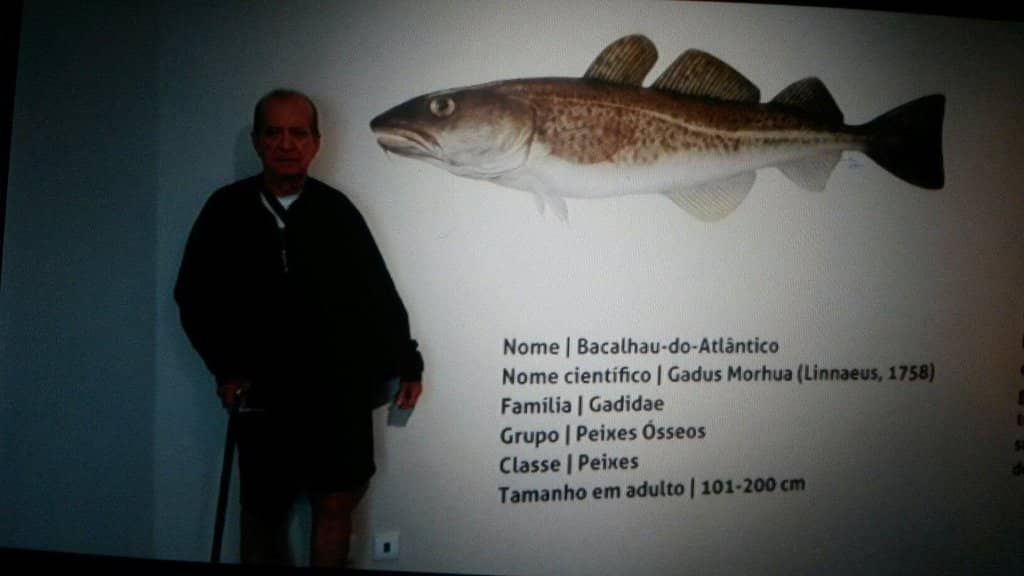 The Santo André Ship