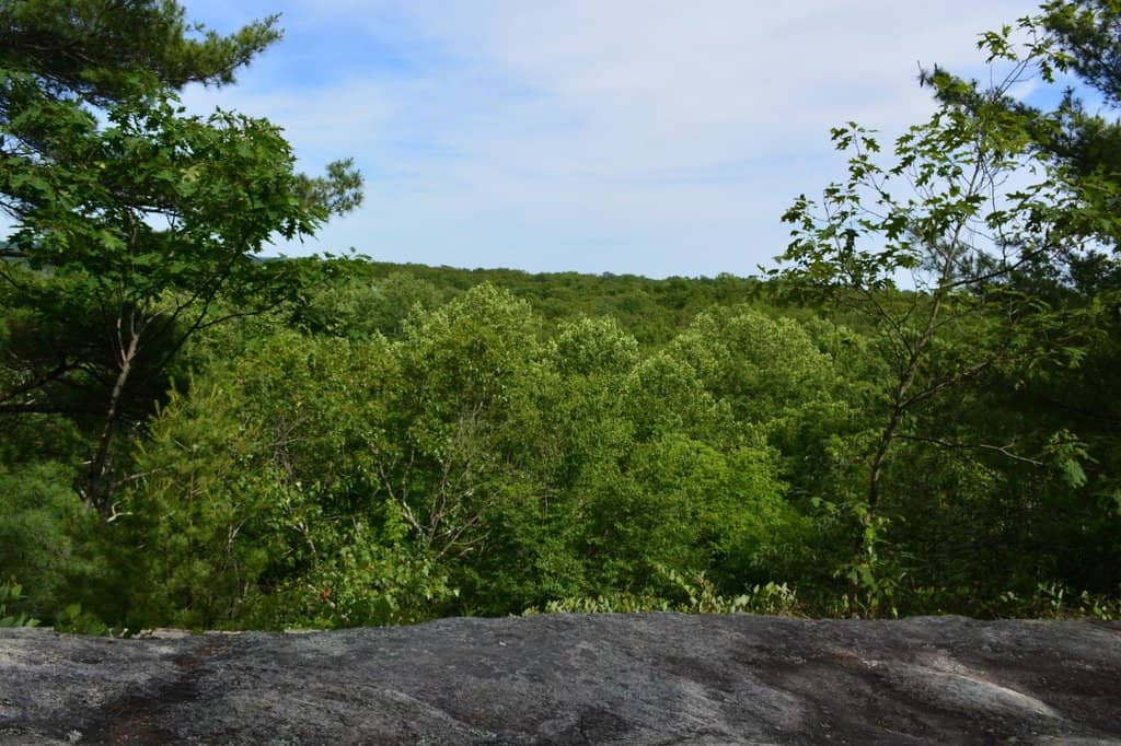 Interactive Trail Map