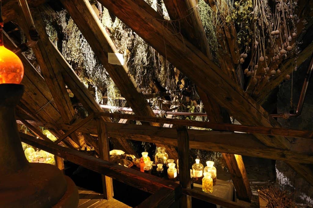 Themed Cafe Experience