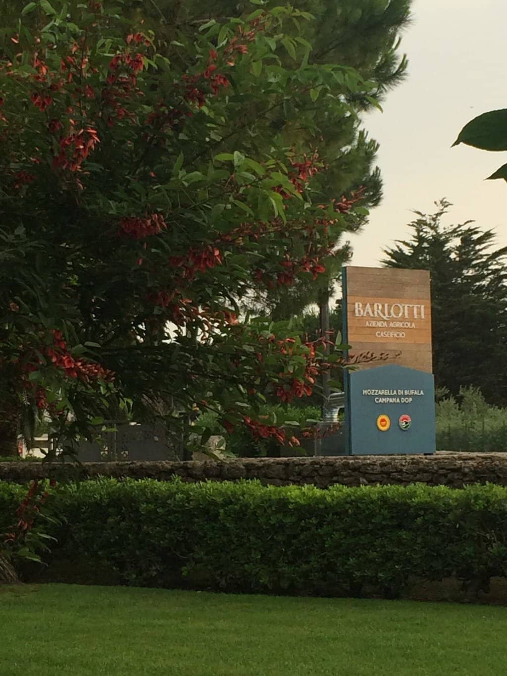 Interactive Farm Experience