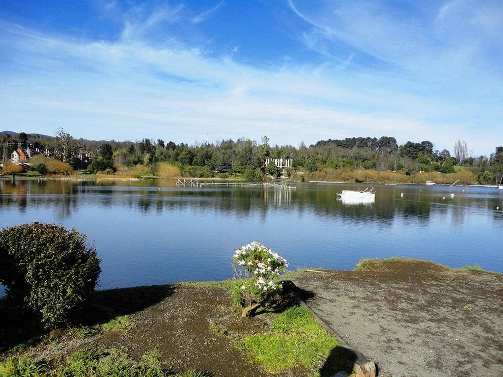 Stargazing on the Lake