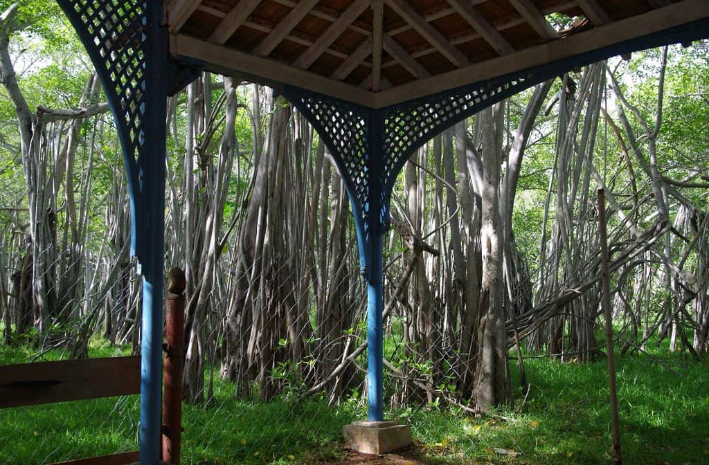 Interfaith Shrines