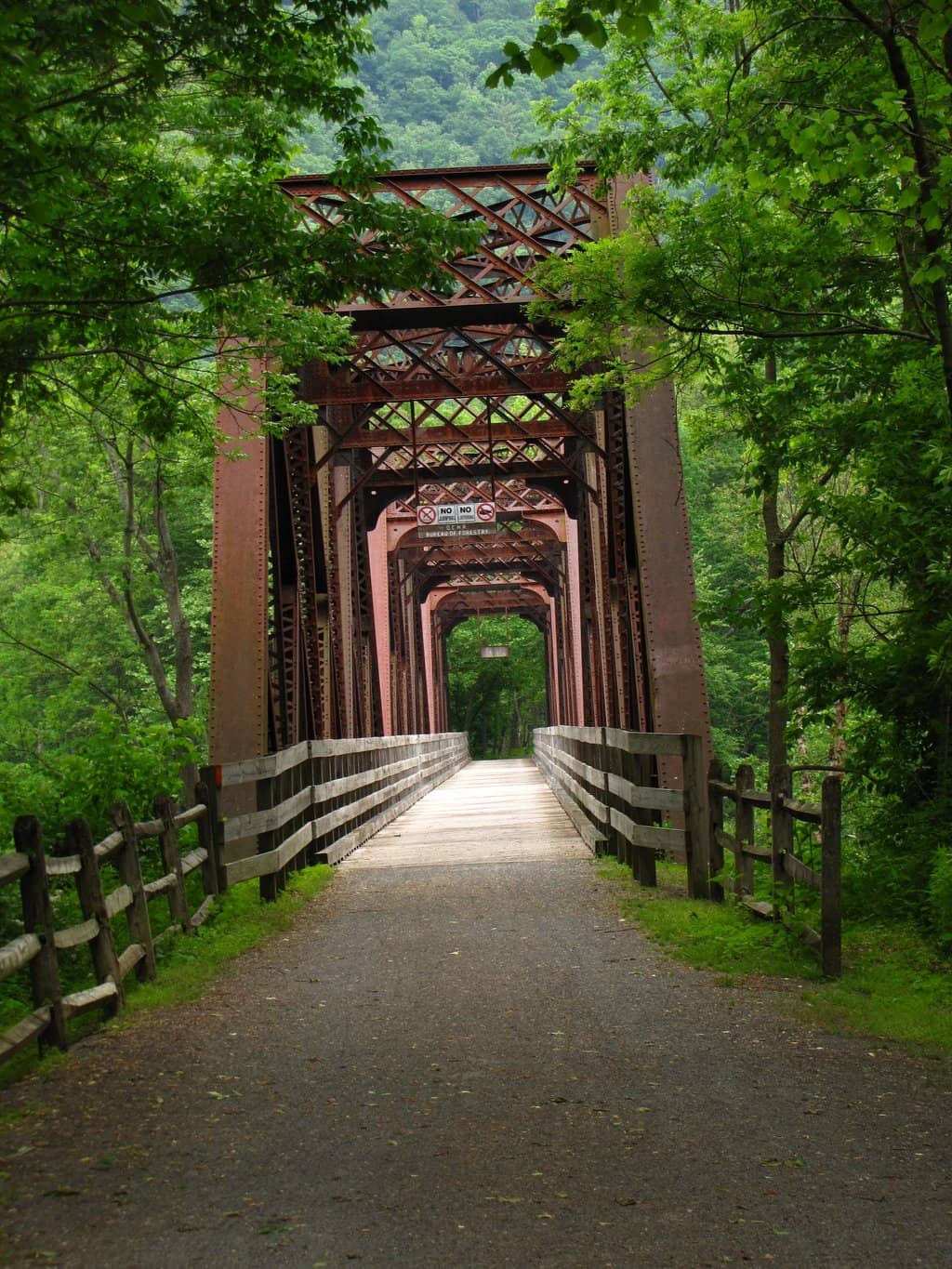 Turkey Path Trail
