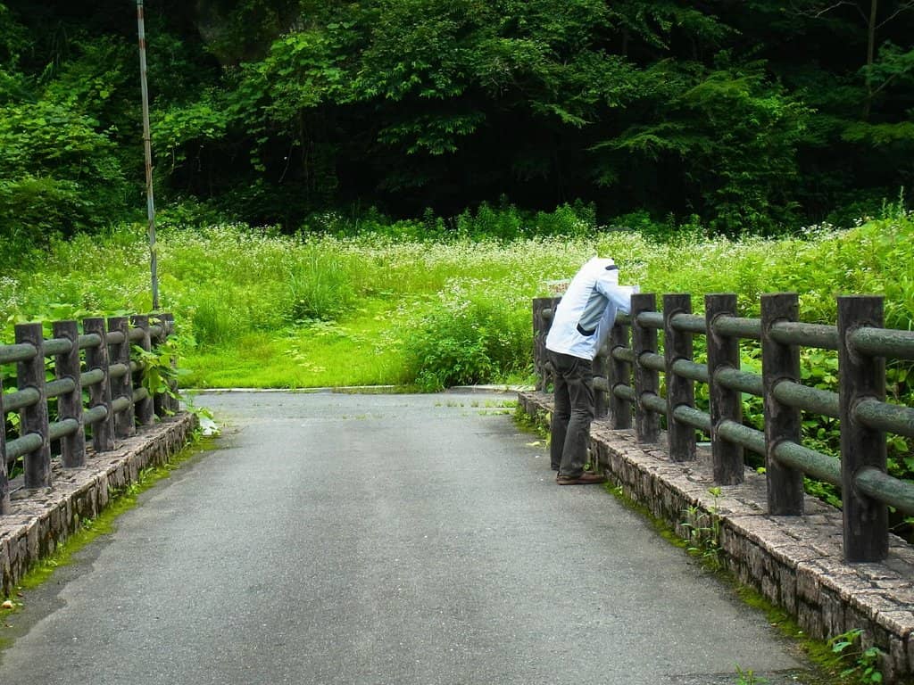 River Walk and Hiking Trails