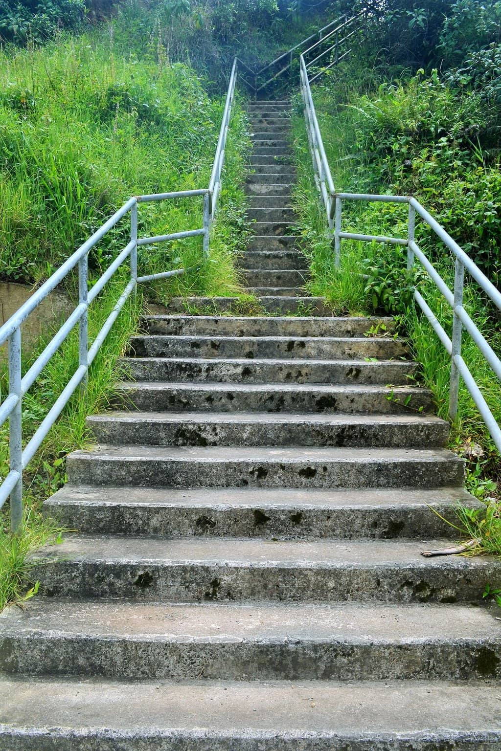 The Challenging Drive