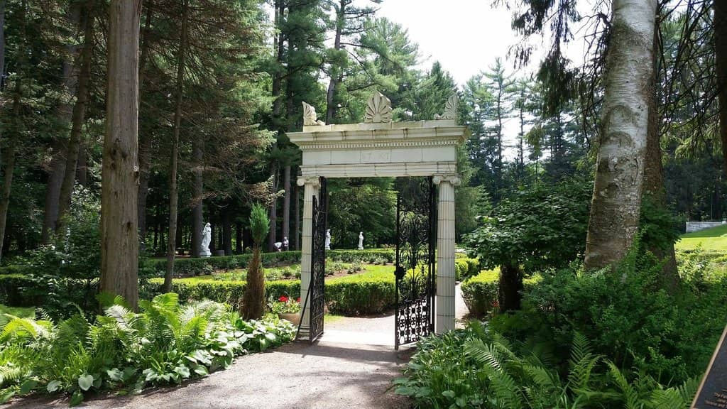 Wooded Areas and Wildflowers