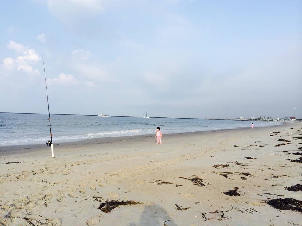 Rocky Shoreline Exploration
