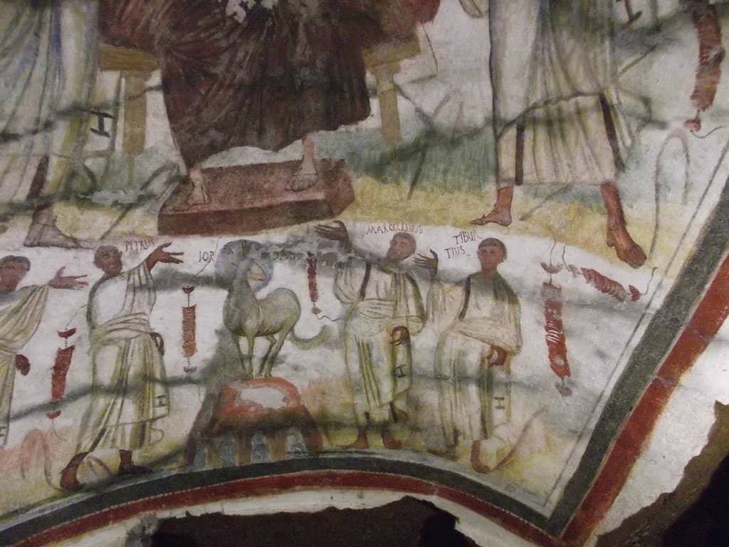 Knowledgeable Guided Tours