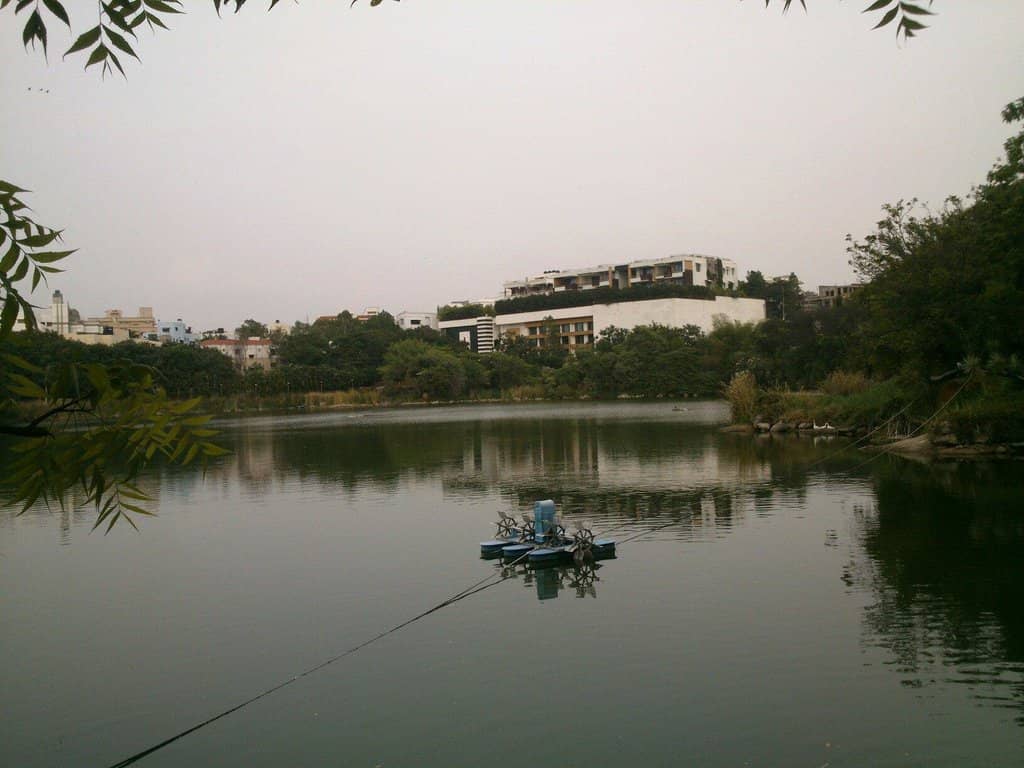 Tranquil Lotus Pond